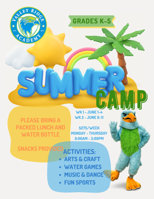 Ext day camp flyer